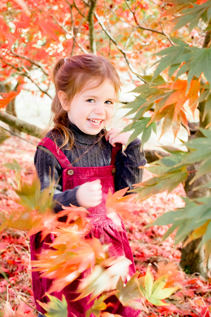 Autumn family portraits in York, North Yorkshire 